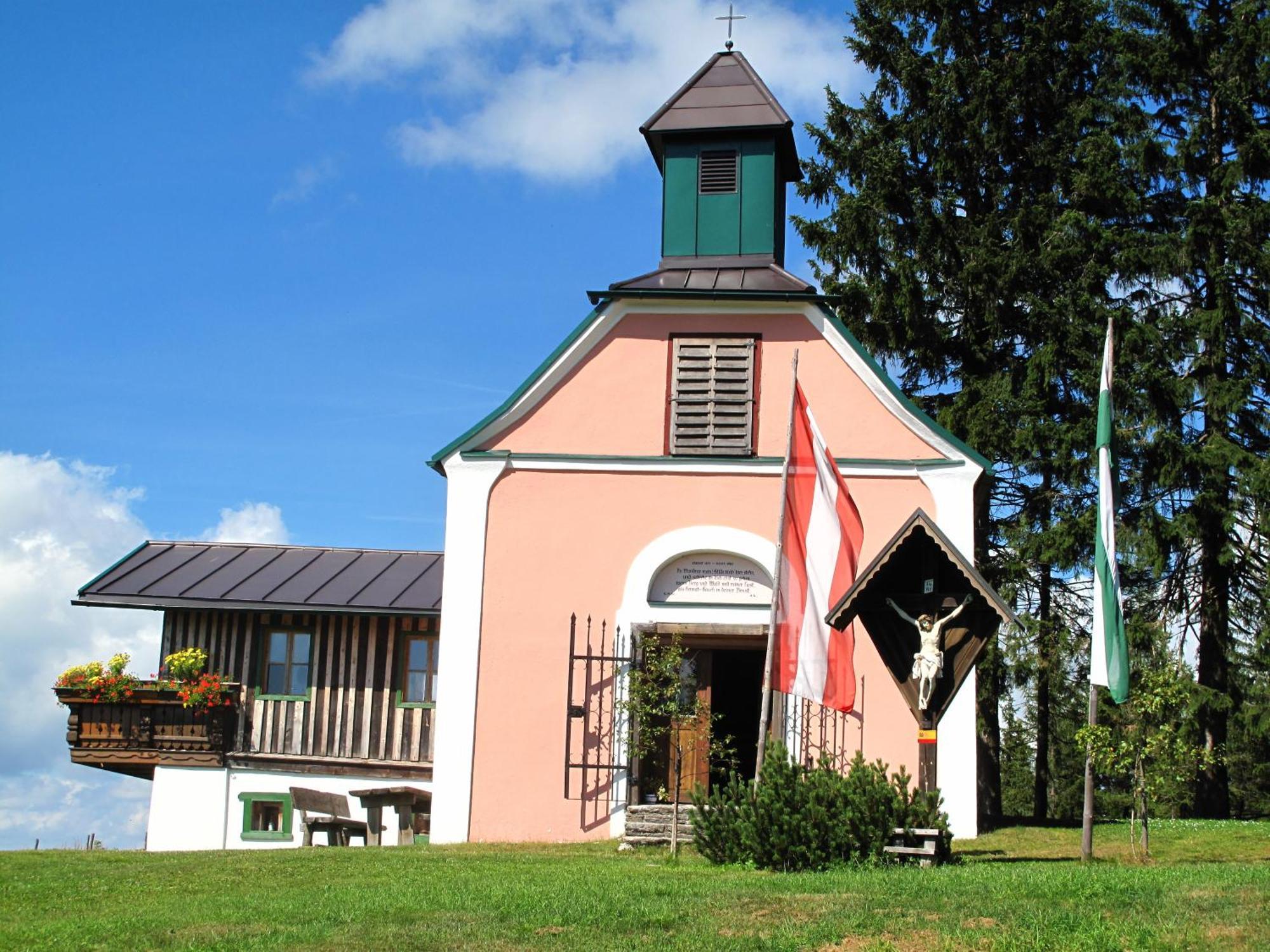 Wildwiesenhof Miesenbach  Esterno foto