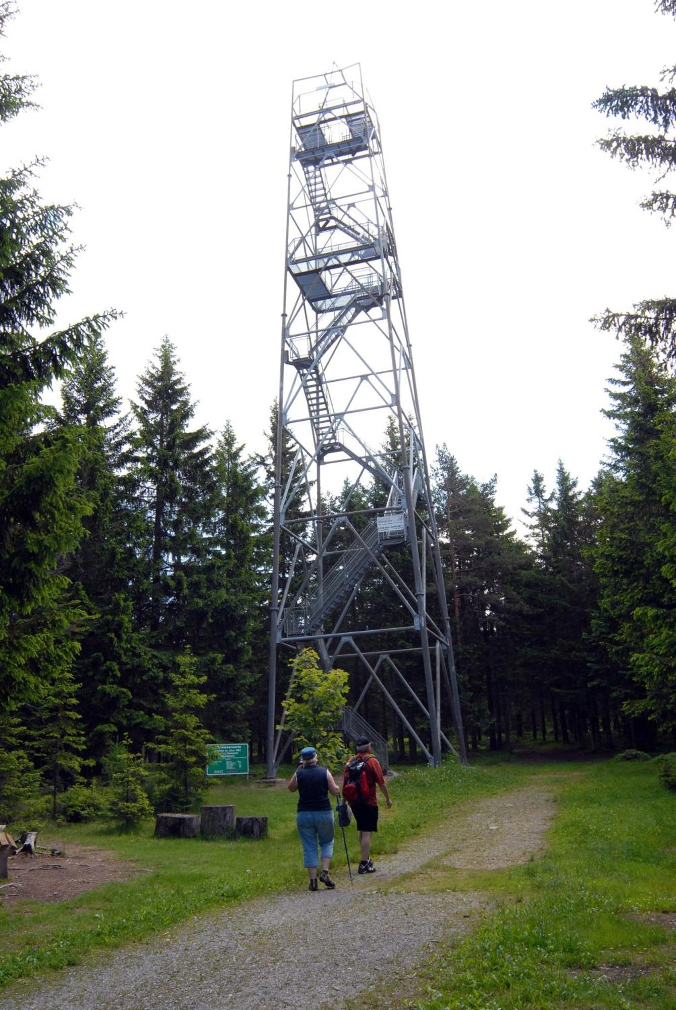 Wildwiesenhof Miesenbach  Esterno foto