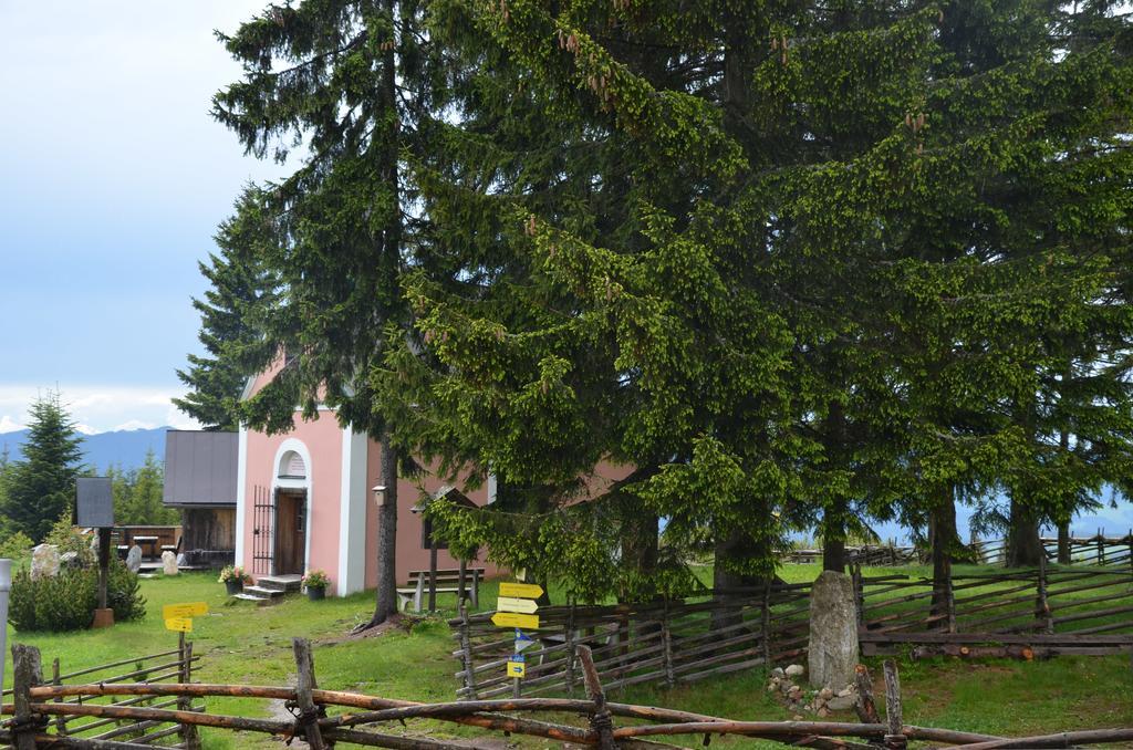 Wildwiesenhof Miesenbach  Esterno foto